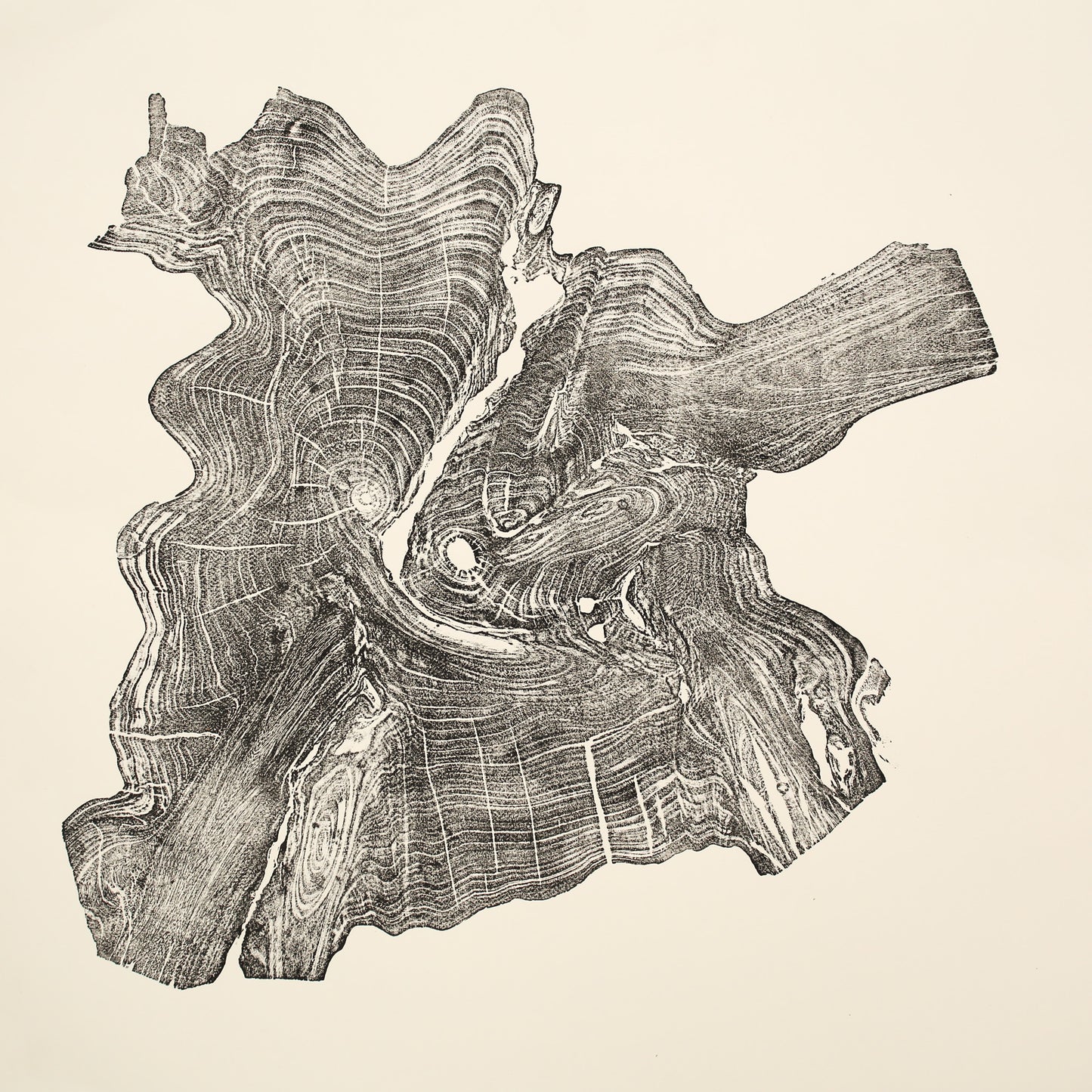 An irregular woodcut monoprint shows a dark impression of tree rings and wood textures on cream paper.