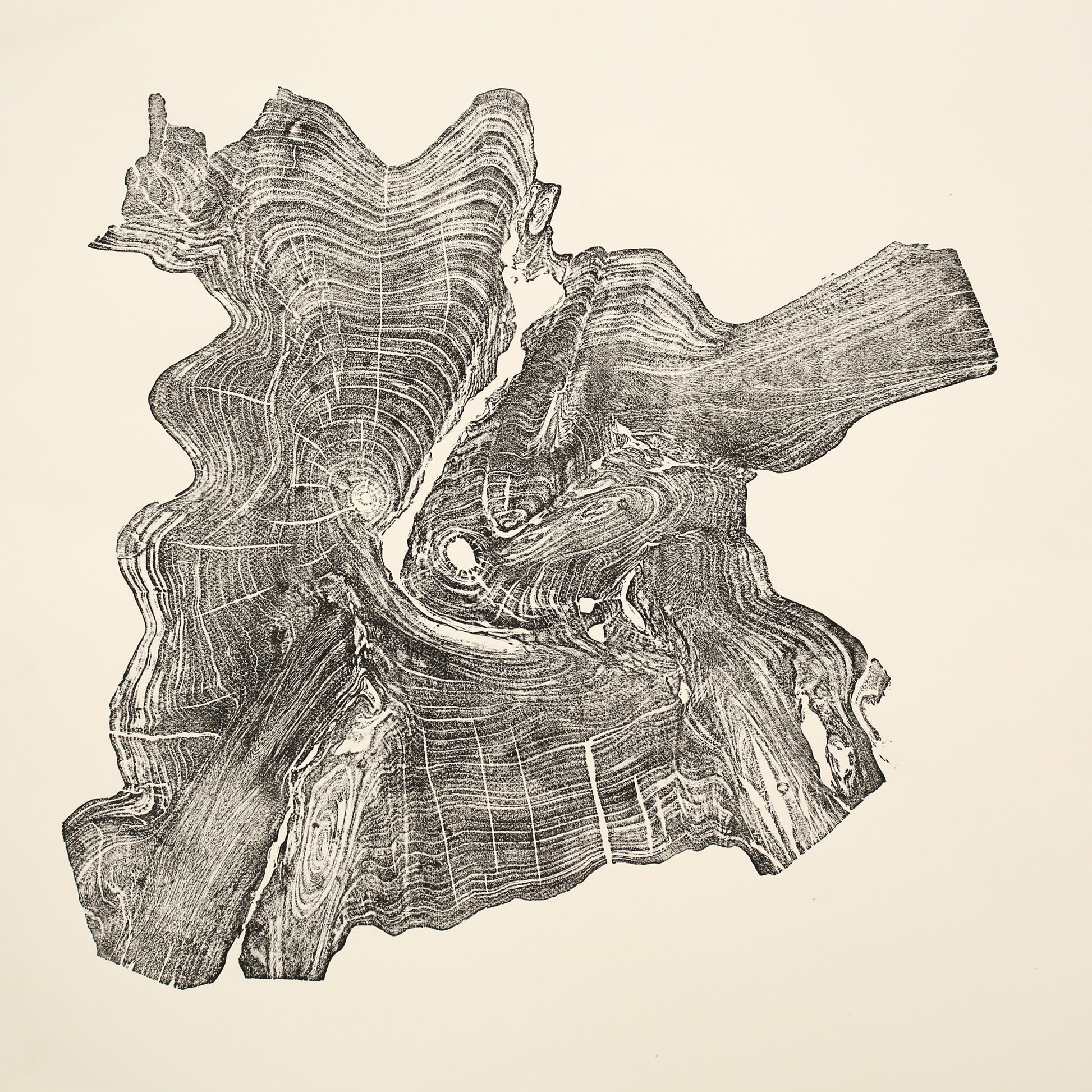 An irregular woodcut monoprint shows a dark impression of tree rings and wood textures on cream paper.