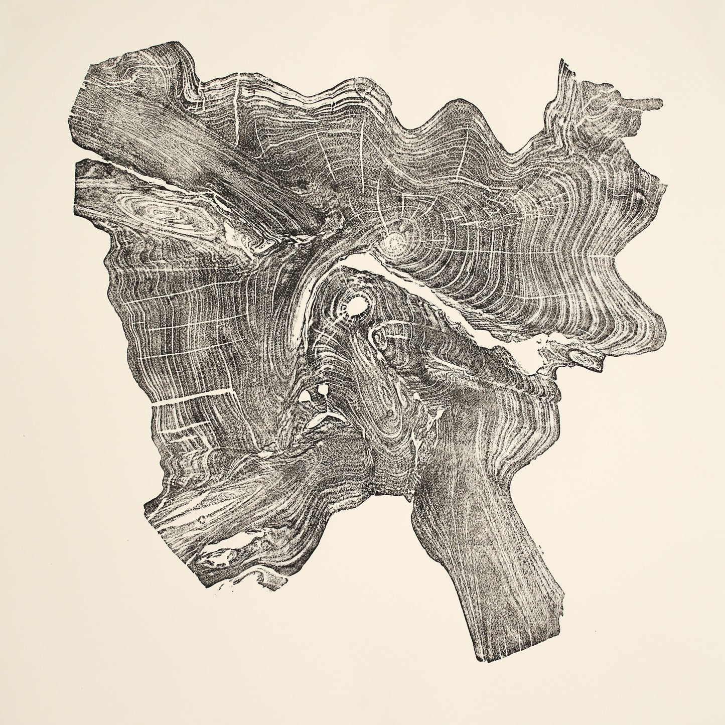 Hand-pulled, dark woodcut monoprint of an irregular root impression with distinct concentric rings on cream paper.