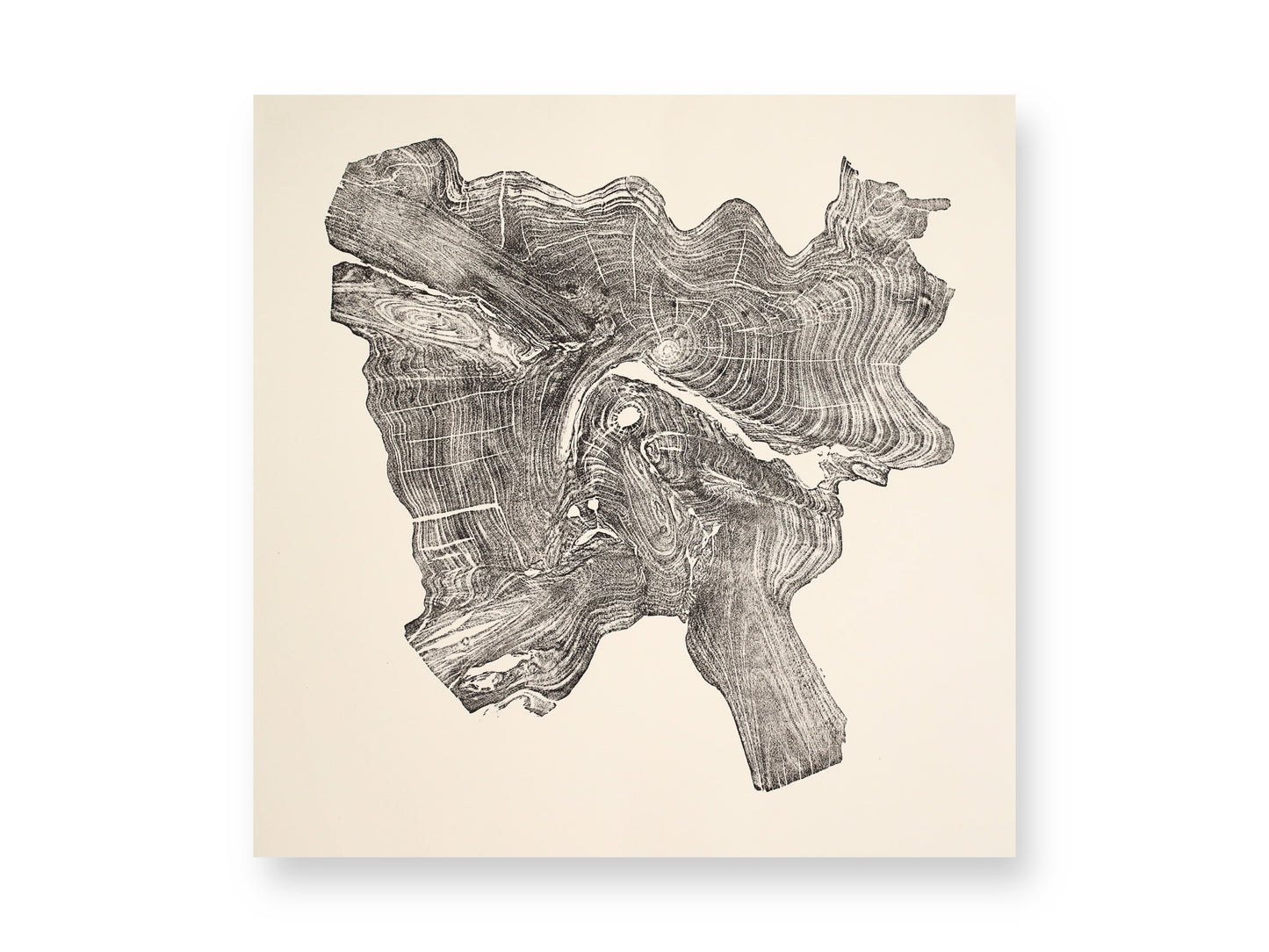 An irregular, dark gray woodcut monoprint shows intricate tree rings and organic wood textures on light cream paper.