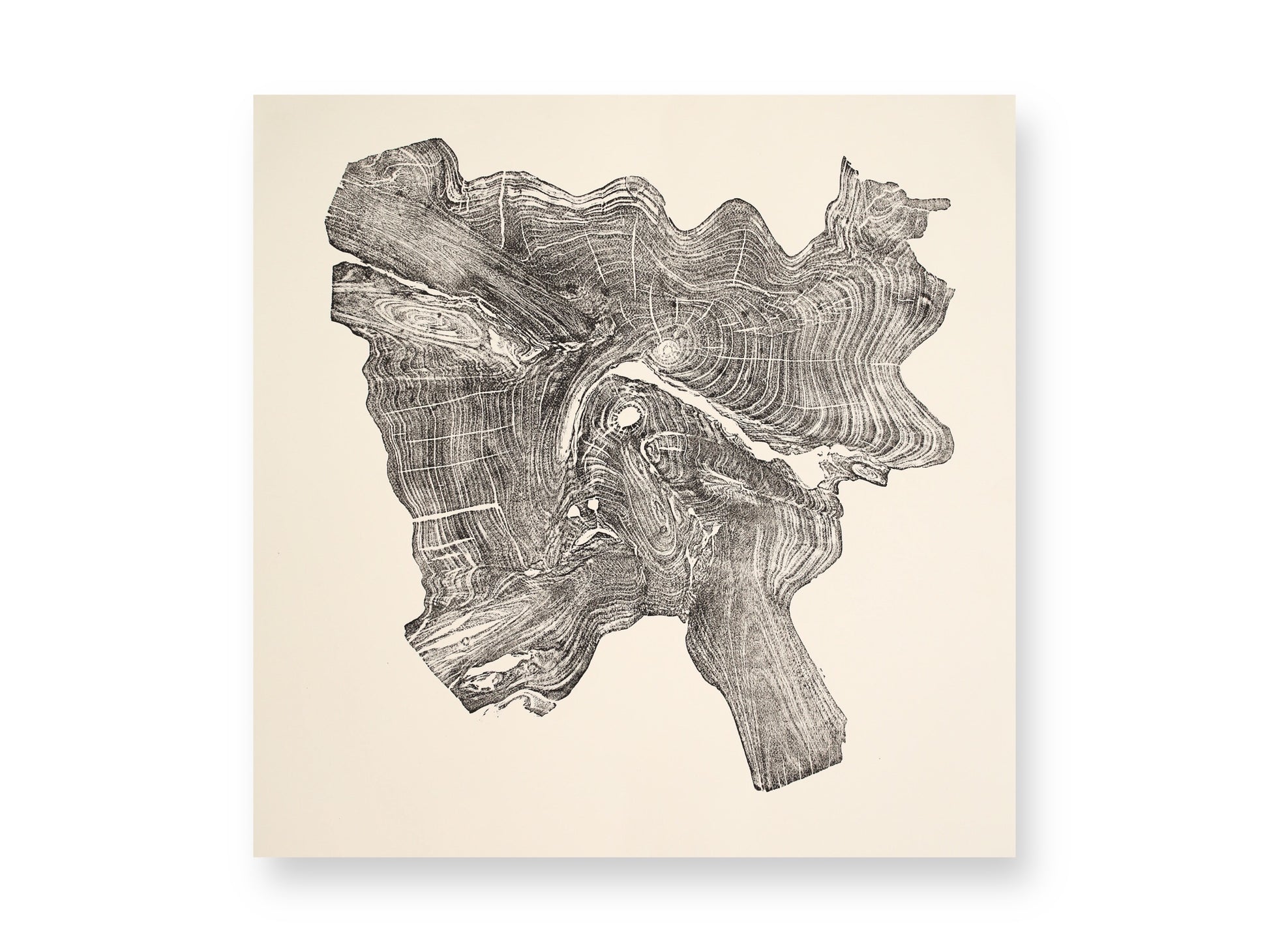 An irregular, dark gray woodcut monoprint shows intricate tree rings and organic wood textures on light cream paper.