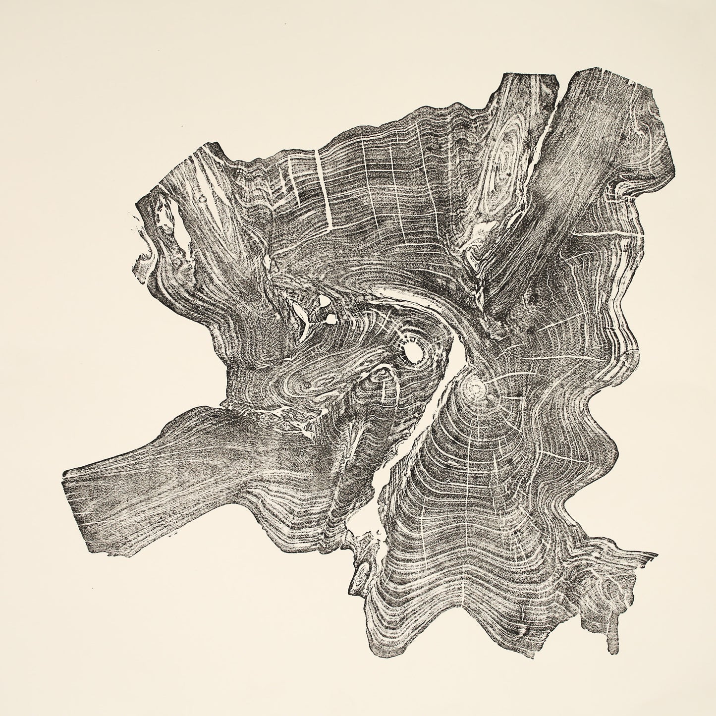 Monoprint of an irregular, dark gray tree root impression, displaying intricate wood grain lines on cream paper.