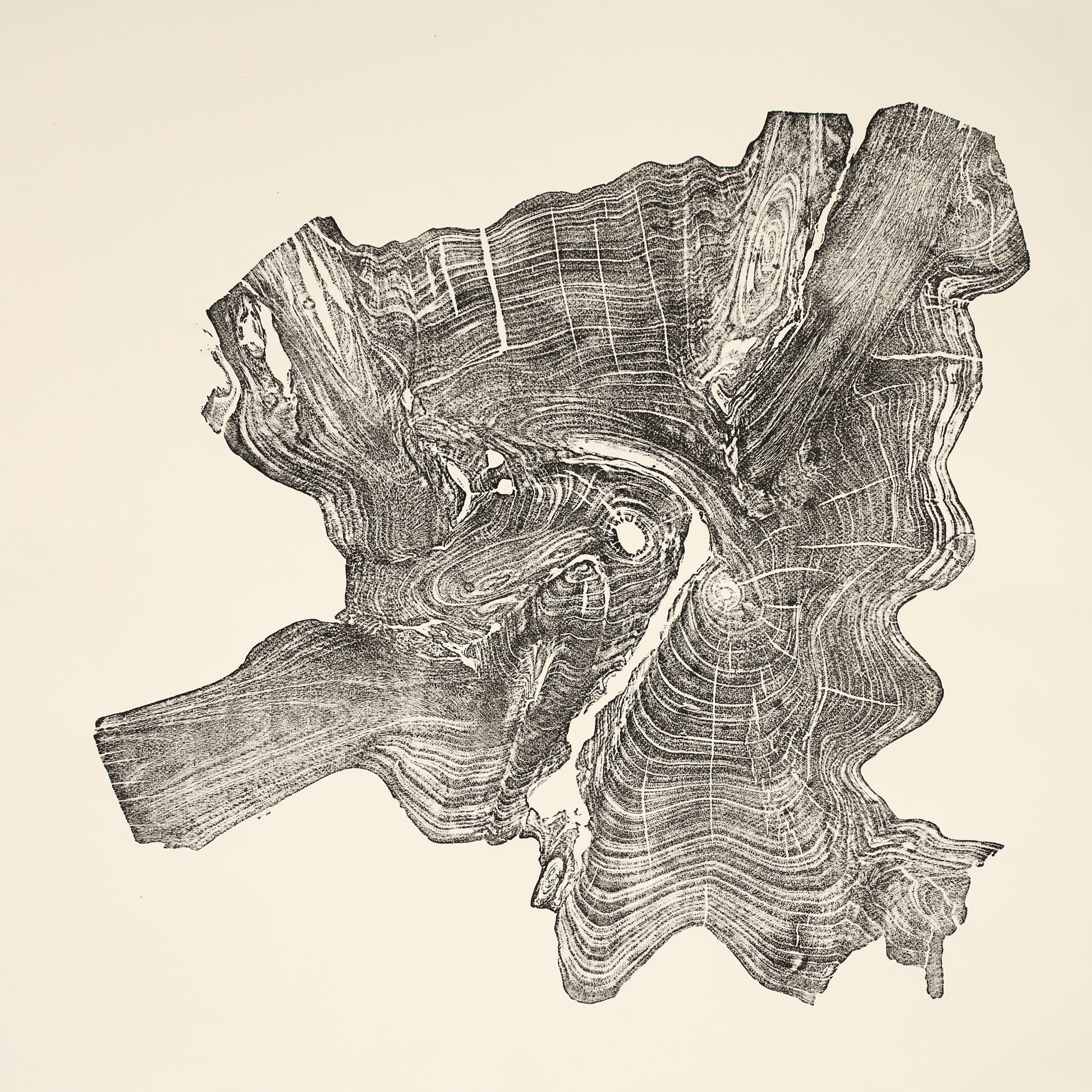 Monoprint of an irregular, dark gray tree root impression, displaying intricate wood grain lines on cream paper.