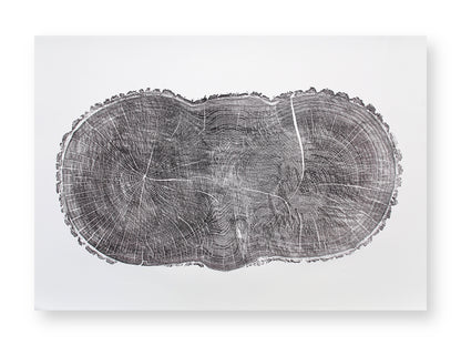 Grayscale woodcut print showing a double-lobed tree cross-section with growth rings, radial lines, and cracks.