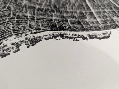 Close-up: black ink print shows textured tree rings and a rough, irregular edge on white paper.