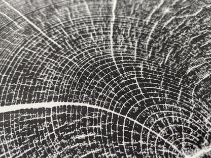 Woodcut print close-up displaying white, textured concentric tree rings and radial lines on a black background.