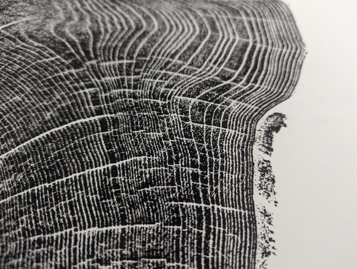 Detailed view of a black woodcut monoprint showing dense, textured tree rings and radial lines on white paper.