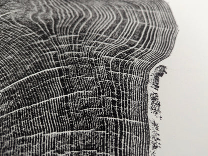 Detailed view of a black woodcut monoprint showing dense, textured tree rings and radial lines on white paper.