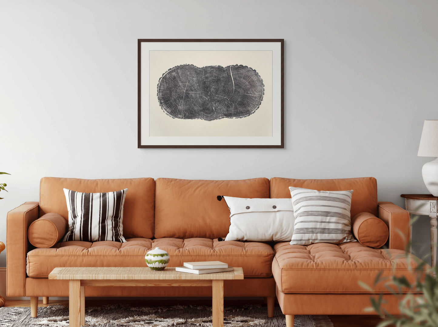 Dark brown framed print displays a double-lobed tree cross-section, showing distinct growth rings and fine cracks.