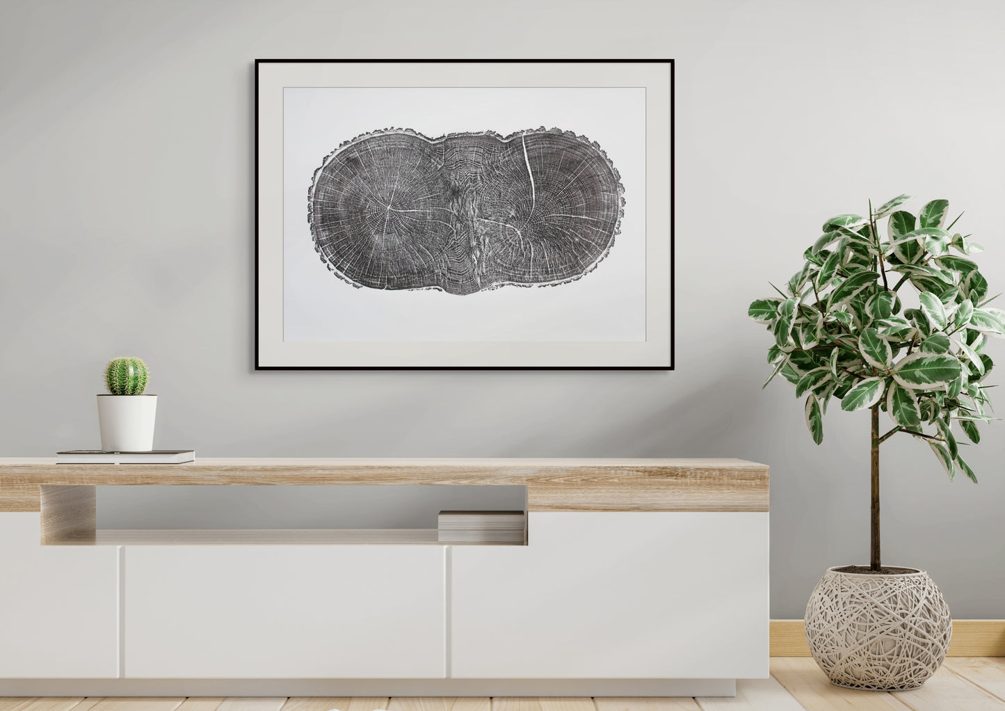 Wall display featuring a framed oak tree ring print, a small cactus, and a potted plant.