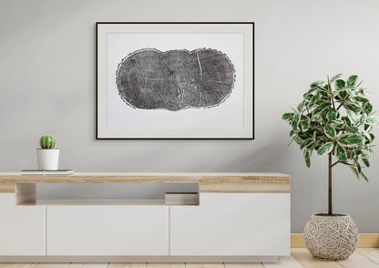 Wall display featuring a framed oak tree ring print, a small cactus, and a potted plant.