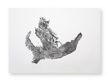An irregular black tree root slice impression with distinct, textured concentric rings on white paper.