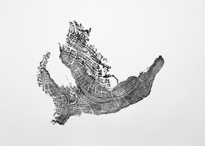 A single black and white monoprint depicts an irregular tree root impression with detailed, concentric growth rings.