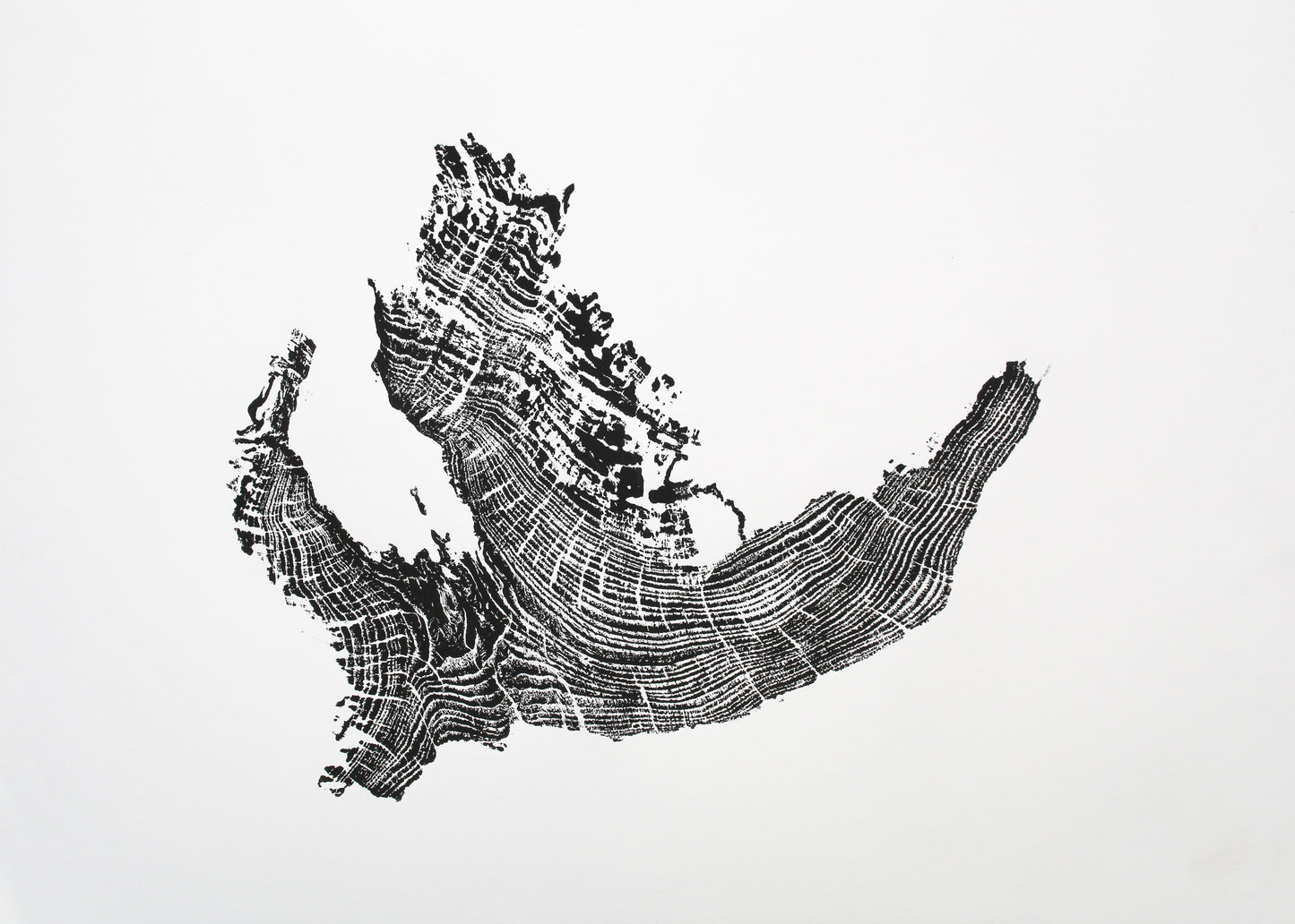 Black and white woodcut monoprint features an irregular tree root impression with distinct, textured concentric growth rings.