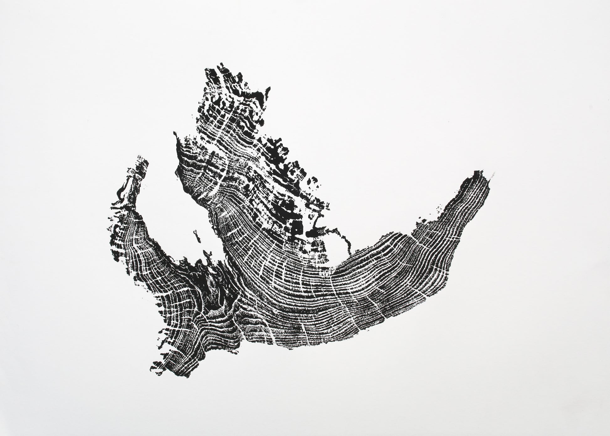 Black and white woodcut monoprint features an irregular tree root impression with distinct, textured concentric growth rings.