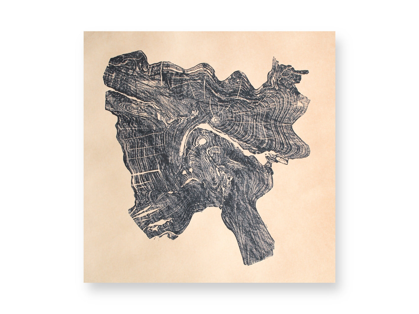 Intricate black woodcut monoprint depicting an irregular tree root slice with detailed rings on beige paper.
