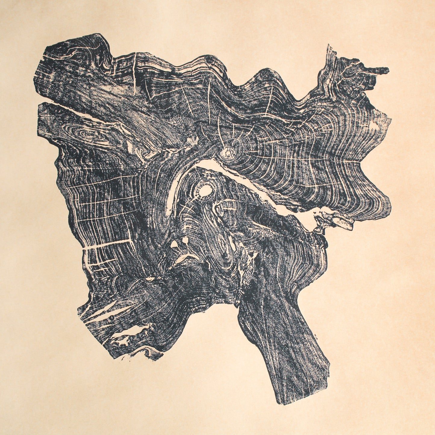 Dark gray woodcut monoprint of an irregular tree root cross-section, displaying intricate grain patterns on cream paper.