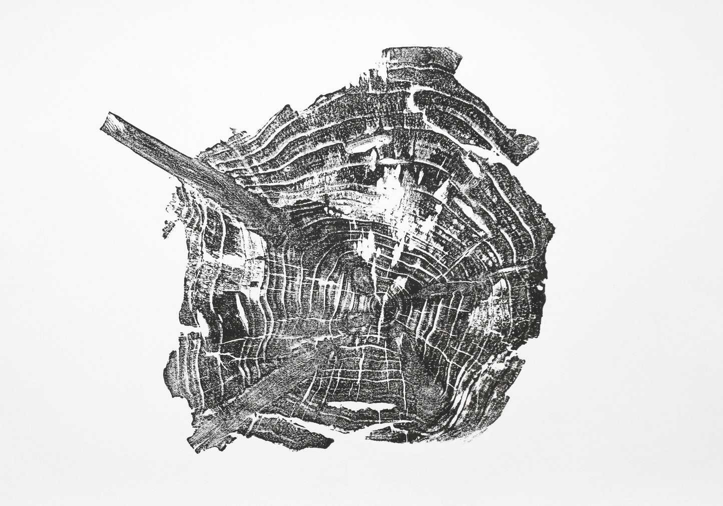 Black woodcut monoprint of an irregular tree root slice, showcasing concentric rings and a diagonal branch.