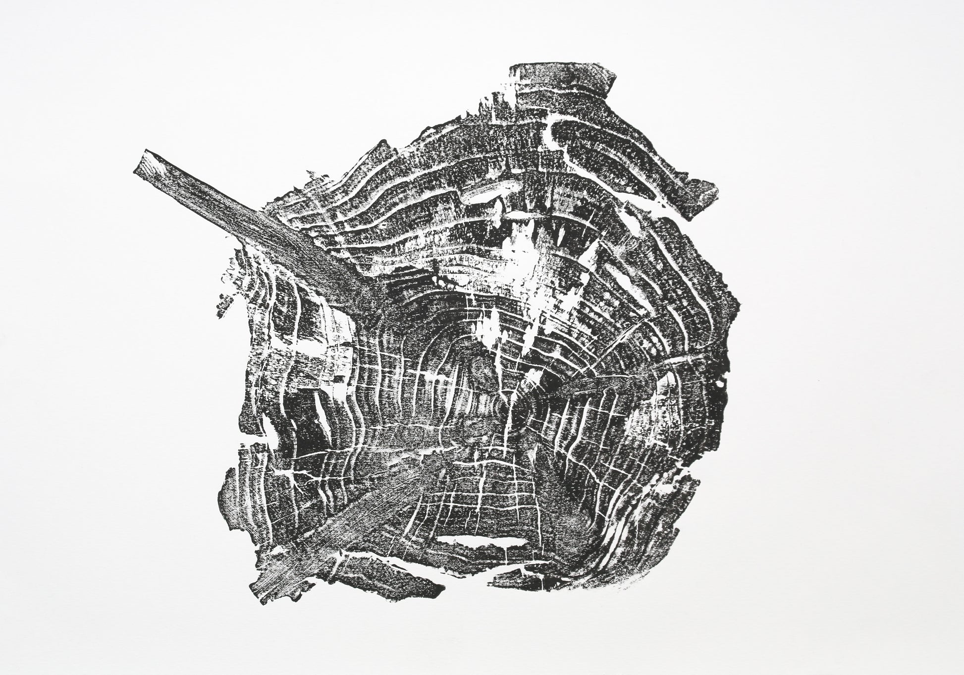 Black woodcut monoprint of an irregular tree root slice, showcasing concentric rings and a diagonal branch.