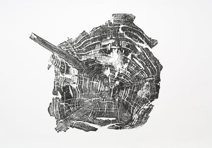 Black woodcut monoprint of an irregular tree root slice, showcasing concentric rings and a diagonal branch.