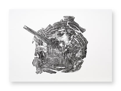 An intricate black print of an irregular tree root slice, displaying concentric rings and a diagonal branch.