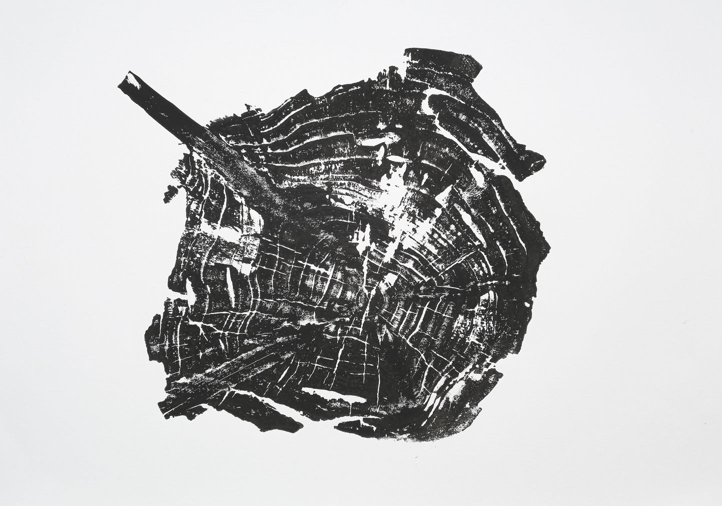 Irregular black woodcut print of a tree root slice, showing a branch extension and growth rings.