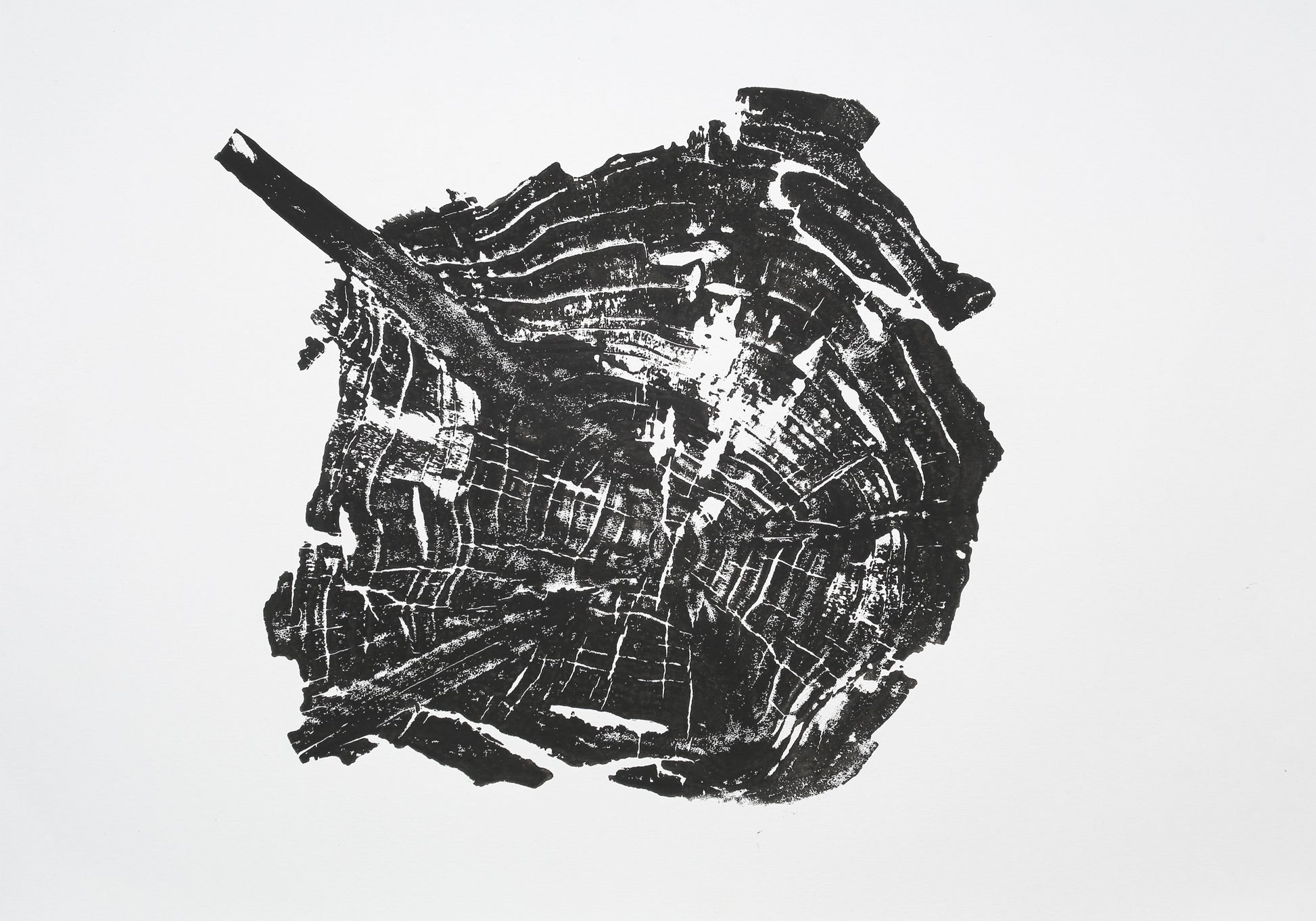 Irregular black woodcut print of a tree root slice, showing a branch extension and growth rings.