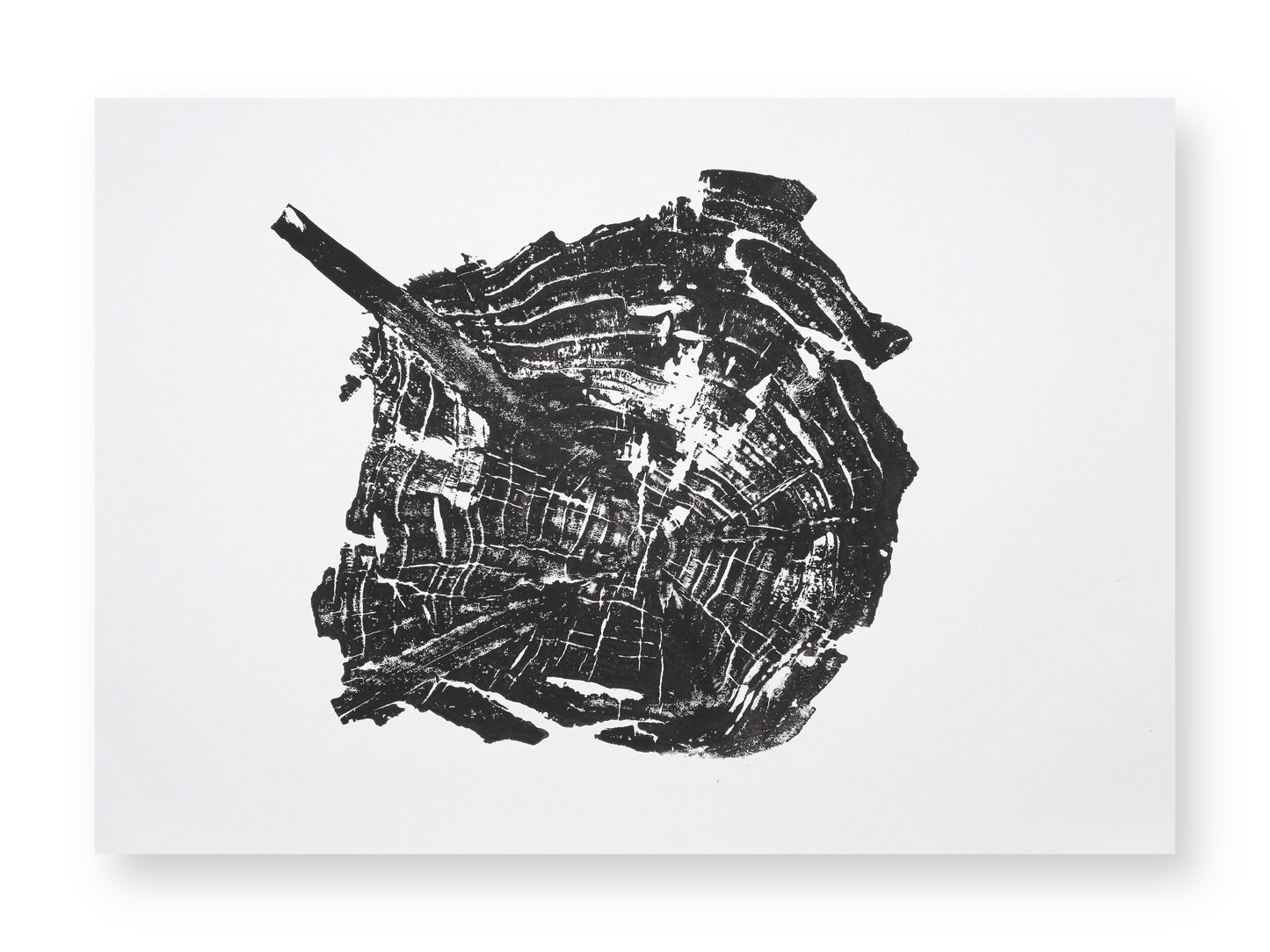 A black woodcut impression of an irregular tree root slice with growth rings and a diagonal branch.