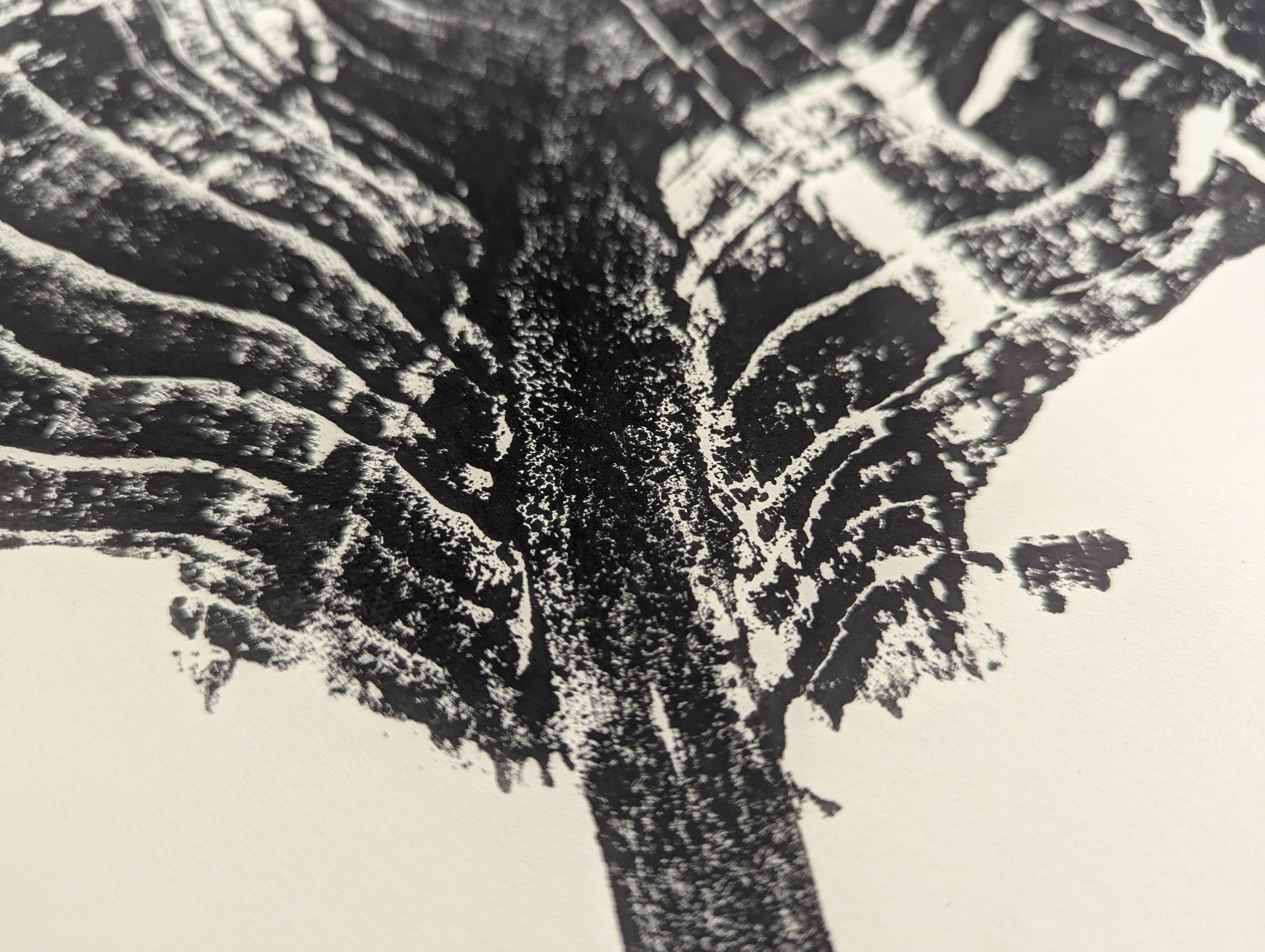 A black ink impression of a tree root slice, showcasing detailed, irregular, rough textures on paper.