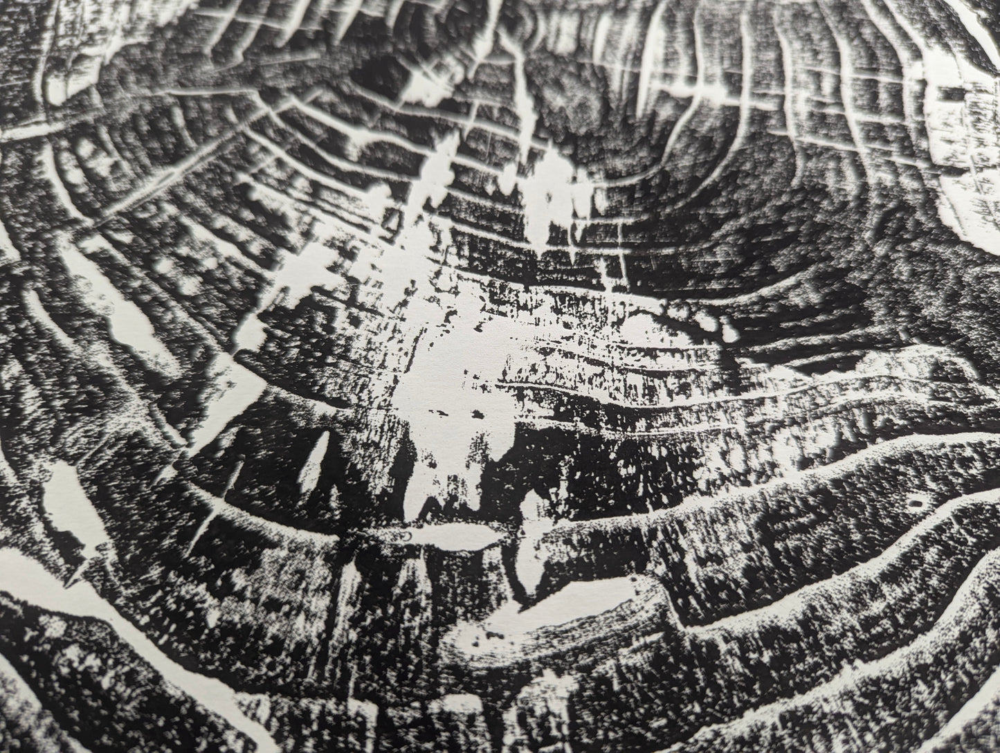 View of a hand-pulled black and white woodcut print with rough, organic, tree ring like patterns.