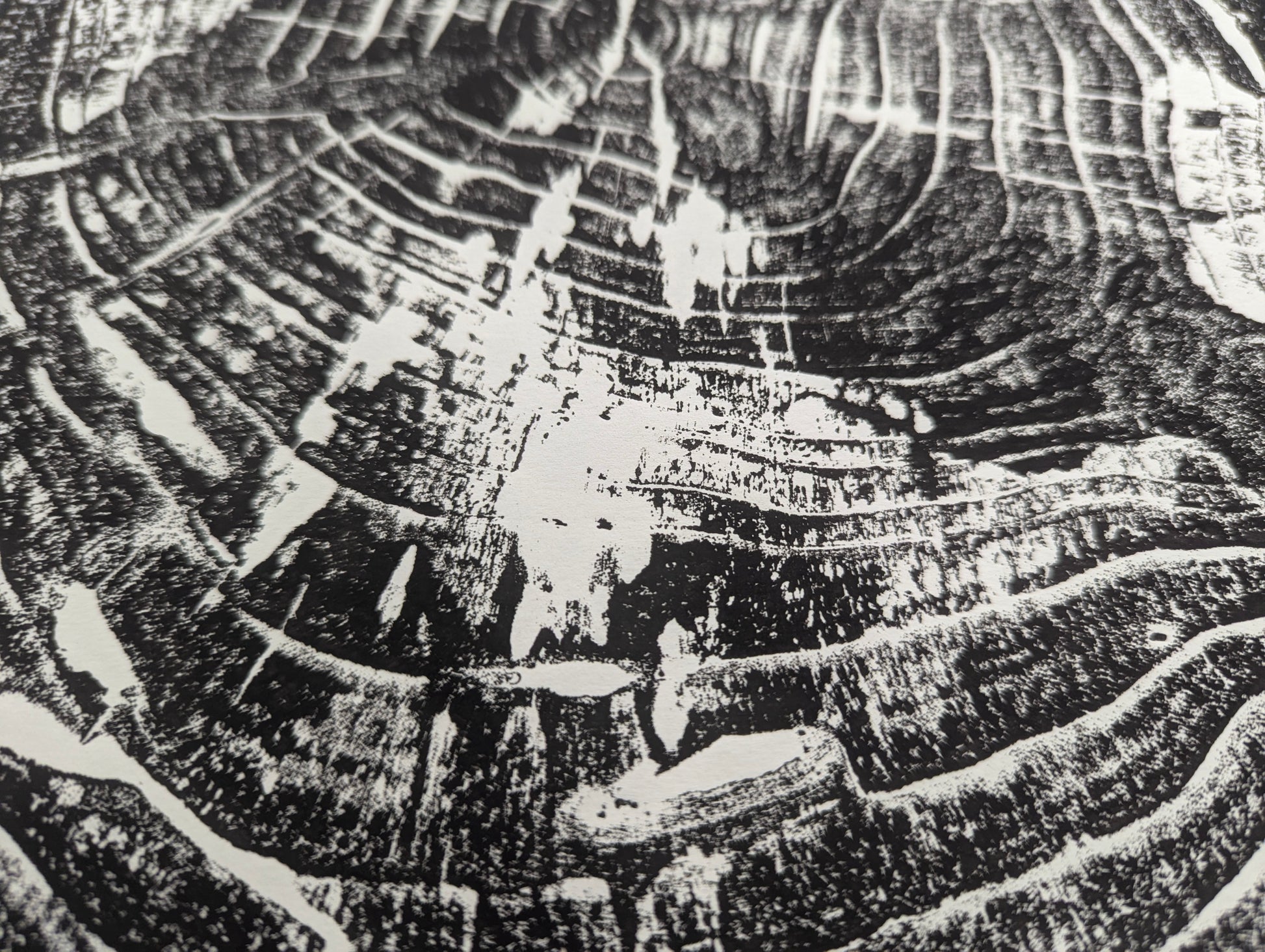 View of a hand-pulled black and white woodcut print with rough, organic, tree ring like patterns.
