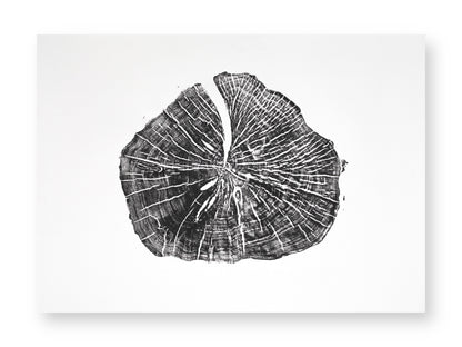 A rectangular white paper displays a black tree root slice print, with detailed dark rings and radiating lines.