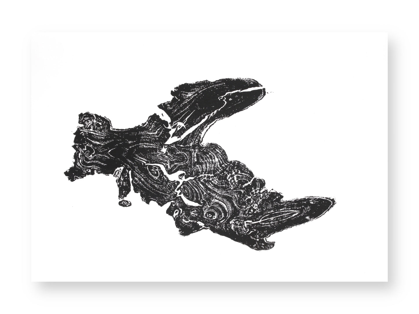 A black and white print on white paper, showing an irregular tree root impression with swirling patterns.