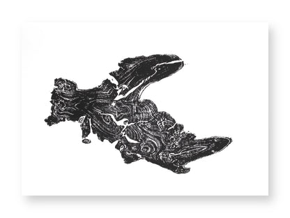 A black and white print on white paper, showing an irregular tree root impression with swirling patterns.