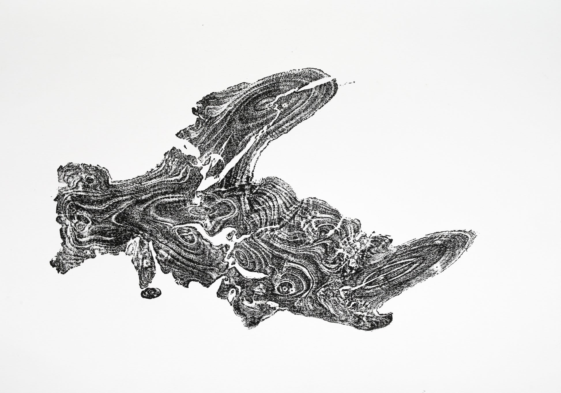 Dark, irregularly shaped tree root impression printed on white paper, showing detailed organic wood grain patterns.