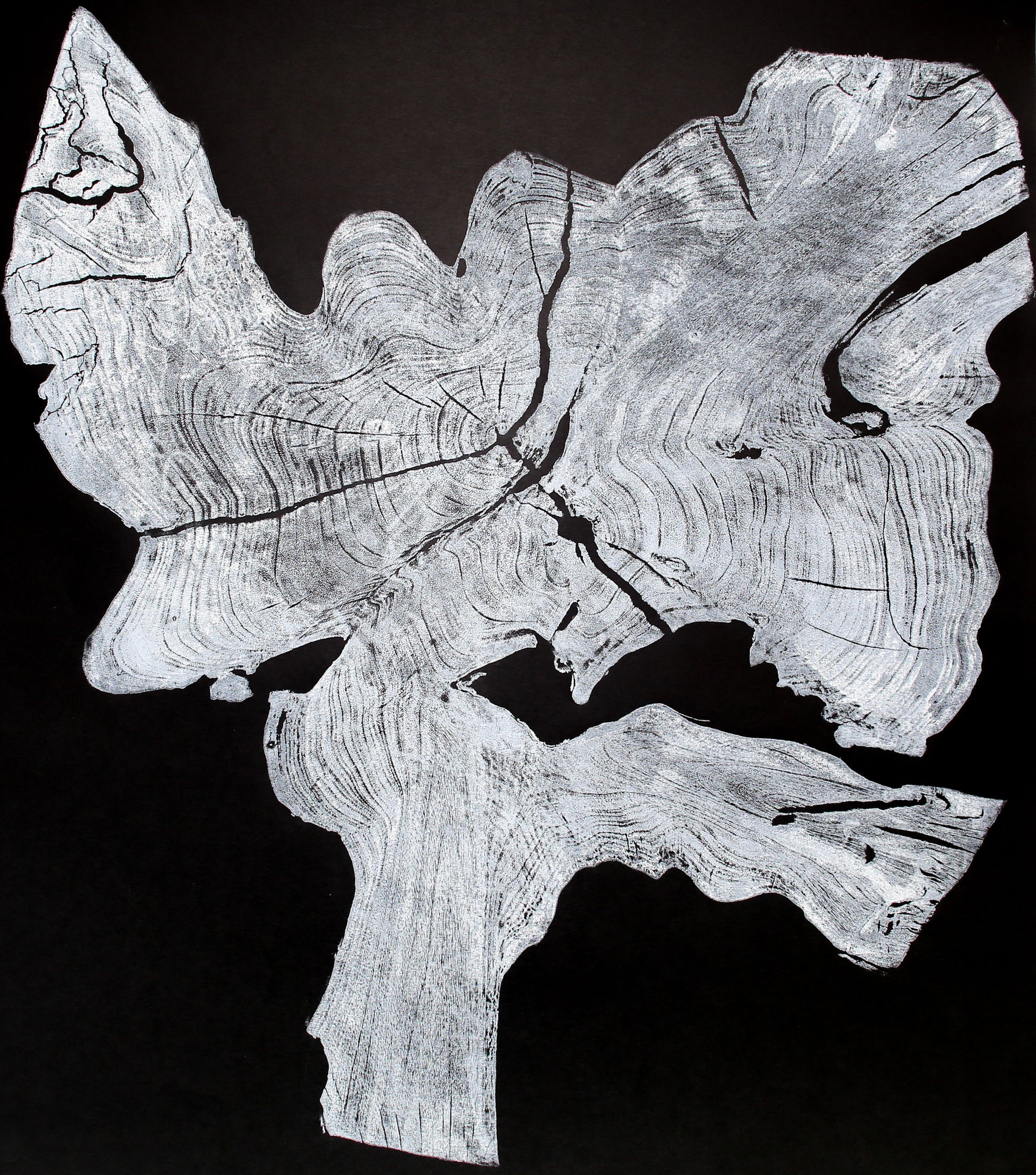 Black and white woodcut monoprint of an irregular tree root slice showing concentric rings and cracks.