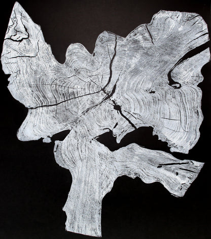 Black and white woodcut monoprint of an irregular tree root slice showing concentric rings and cracks.