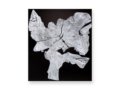 Abstract white woodcut print showing an irregular tree root cross-section with textured growth rings and cracks on black.