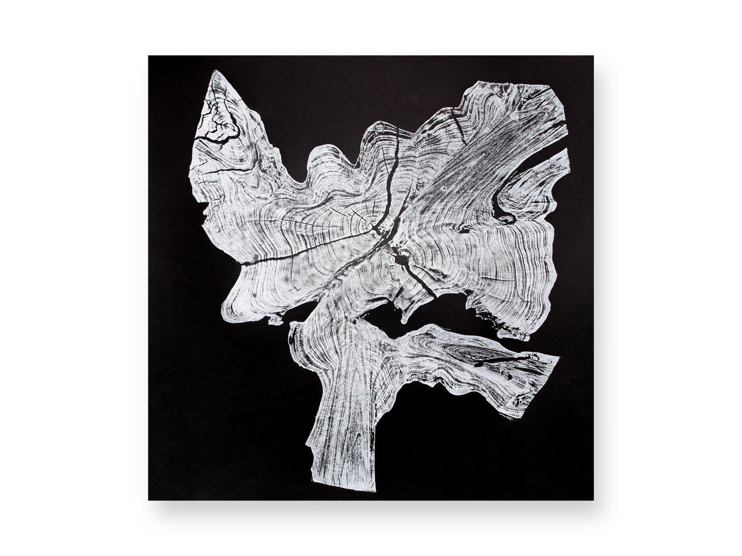 Black and white artwork displaying an irregular, textured wood pattern with rings and splits.