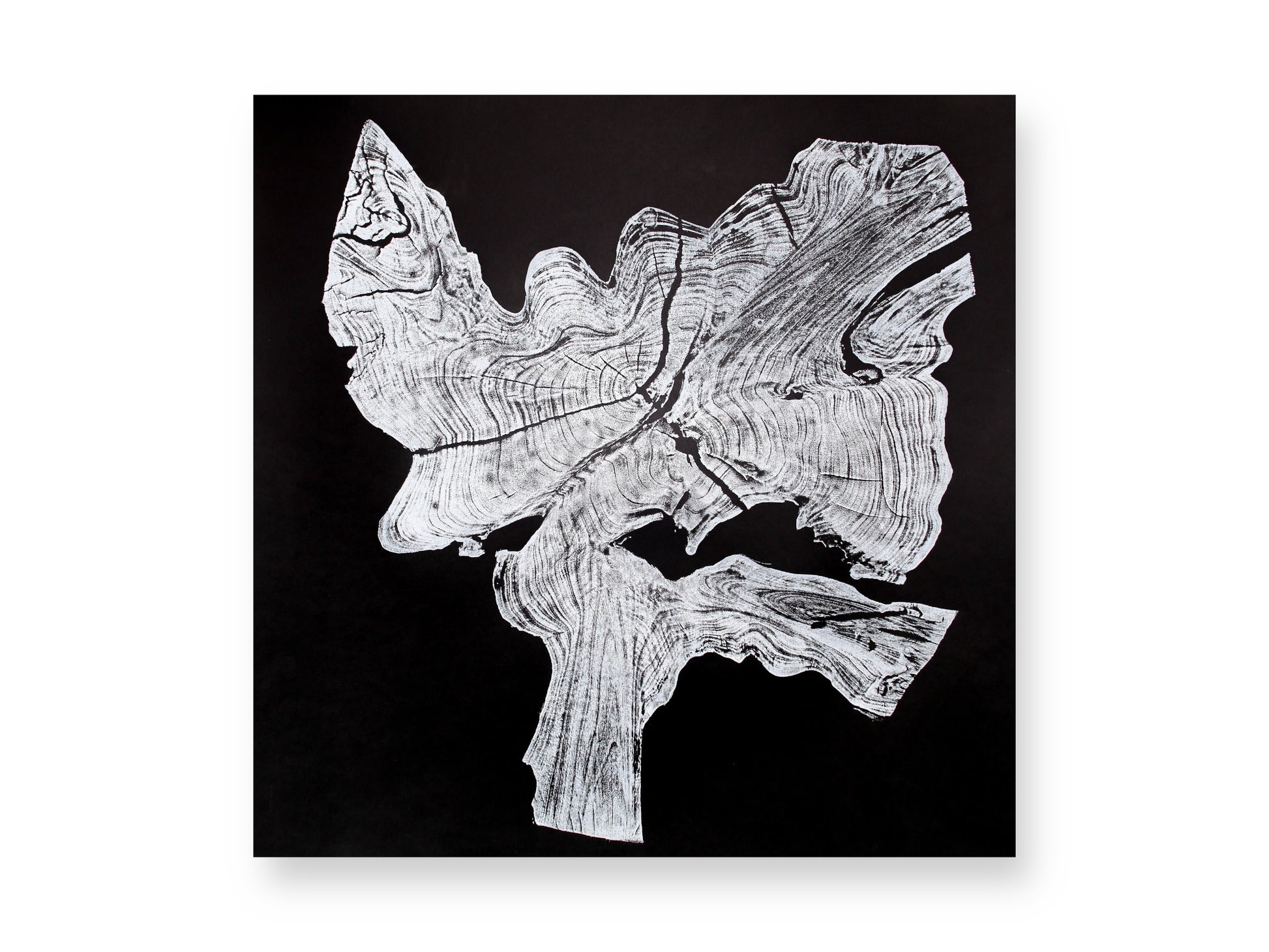 Black and white artwork displaying an irregular, textured wood pattern with rings and splits.