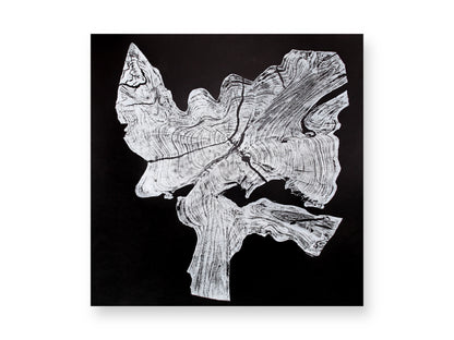 Black and white artwork displaying an irregular, textured wood pattern with rings and splits.