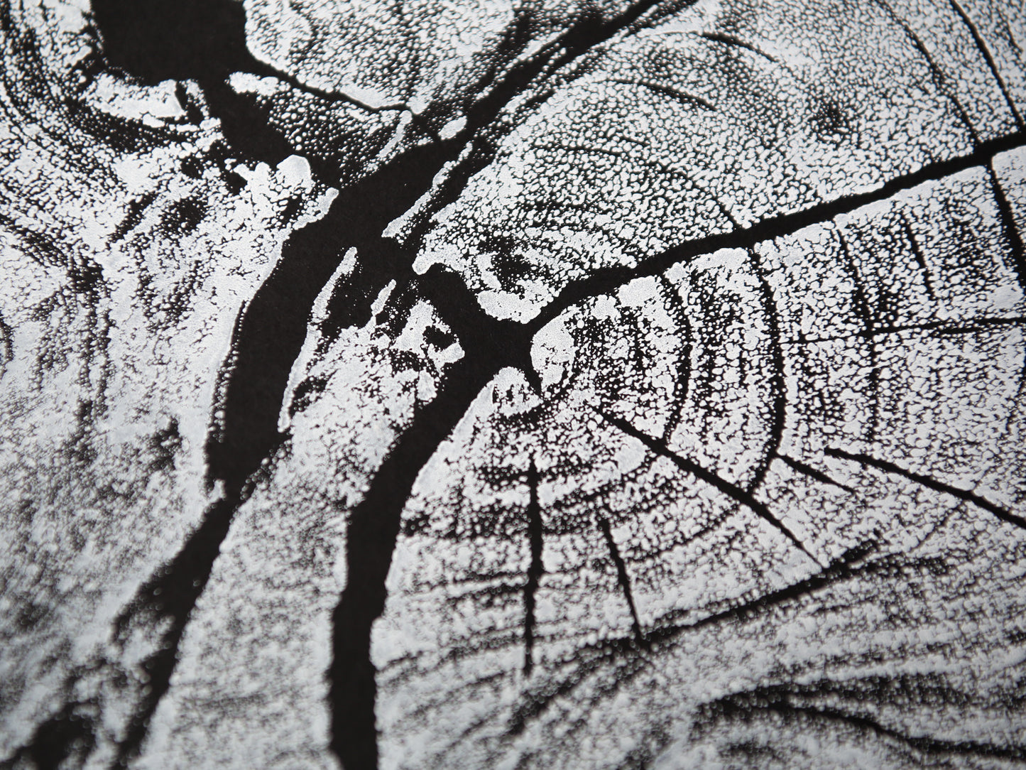 An intricate black and white monoprint showing textured concentric rings and dark radiating cracks.