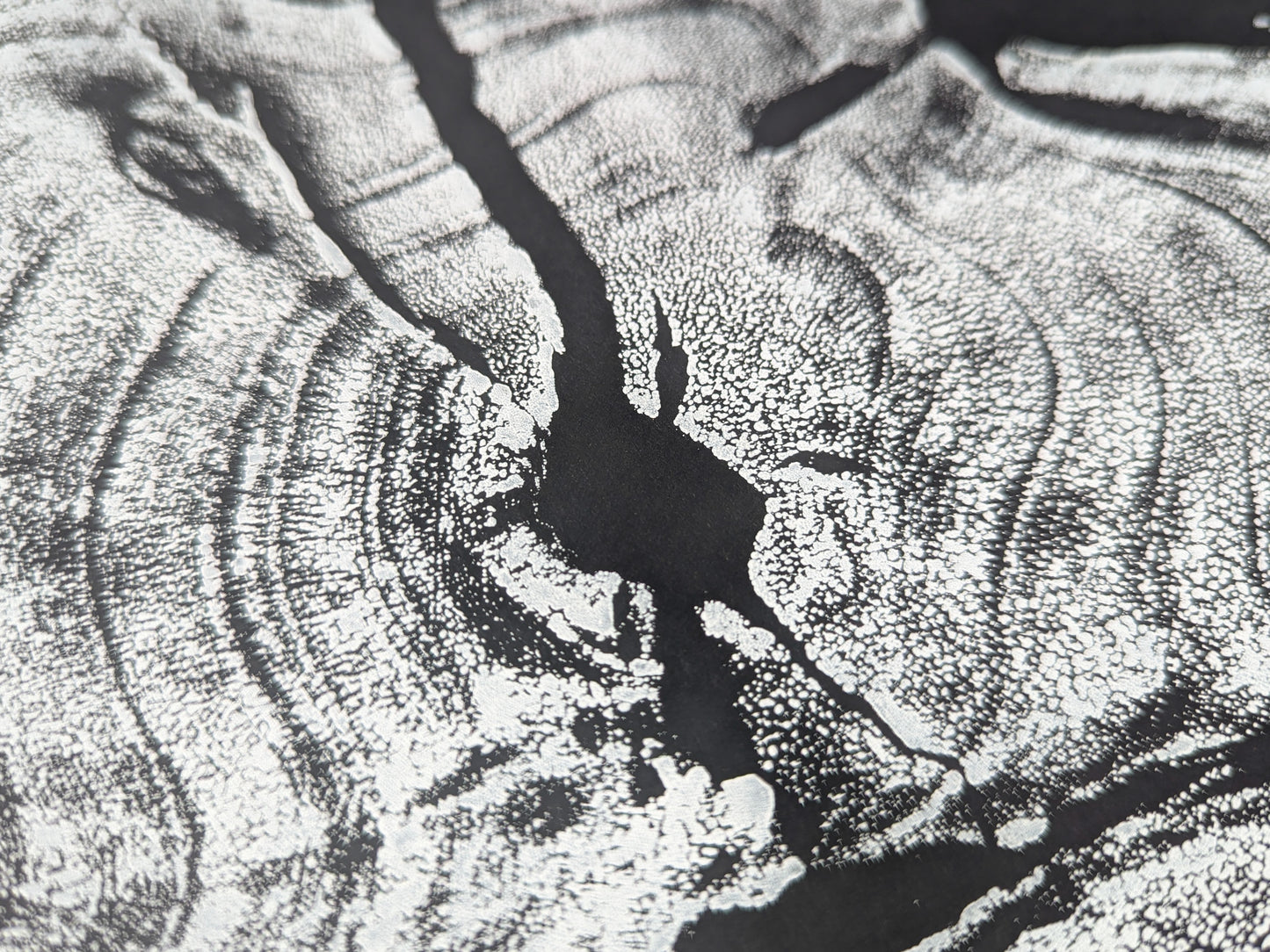 Monoprint with organic concentric patterns and dark irregular cracks on a textured black and white surface.