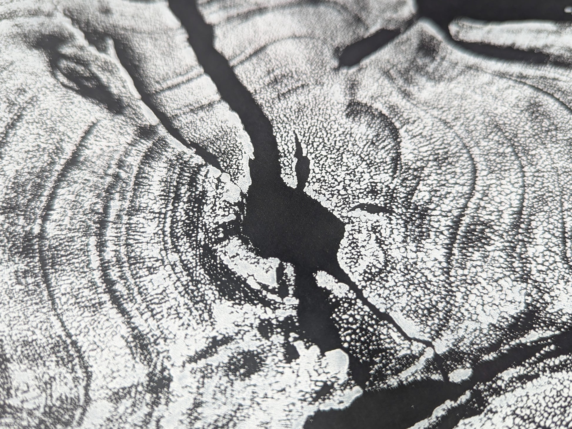Monoprint with organic concentric patterns and dark irregular cracks on a textured black and white surface.