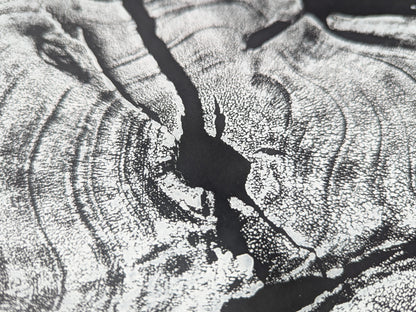 Monoprint with organic concentric patterns and dark irregular cracks on a textured black and white surface.