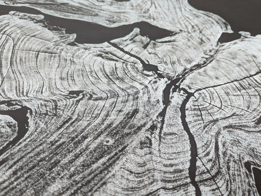 Detailed black and white monoprint showing organic wood grain patterns, concentric rings, and several prominent cracks.