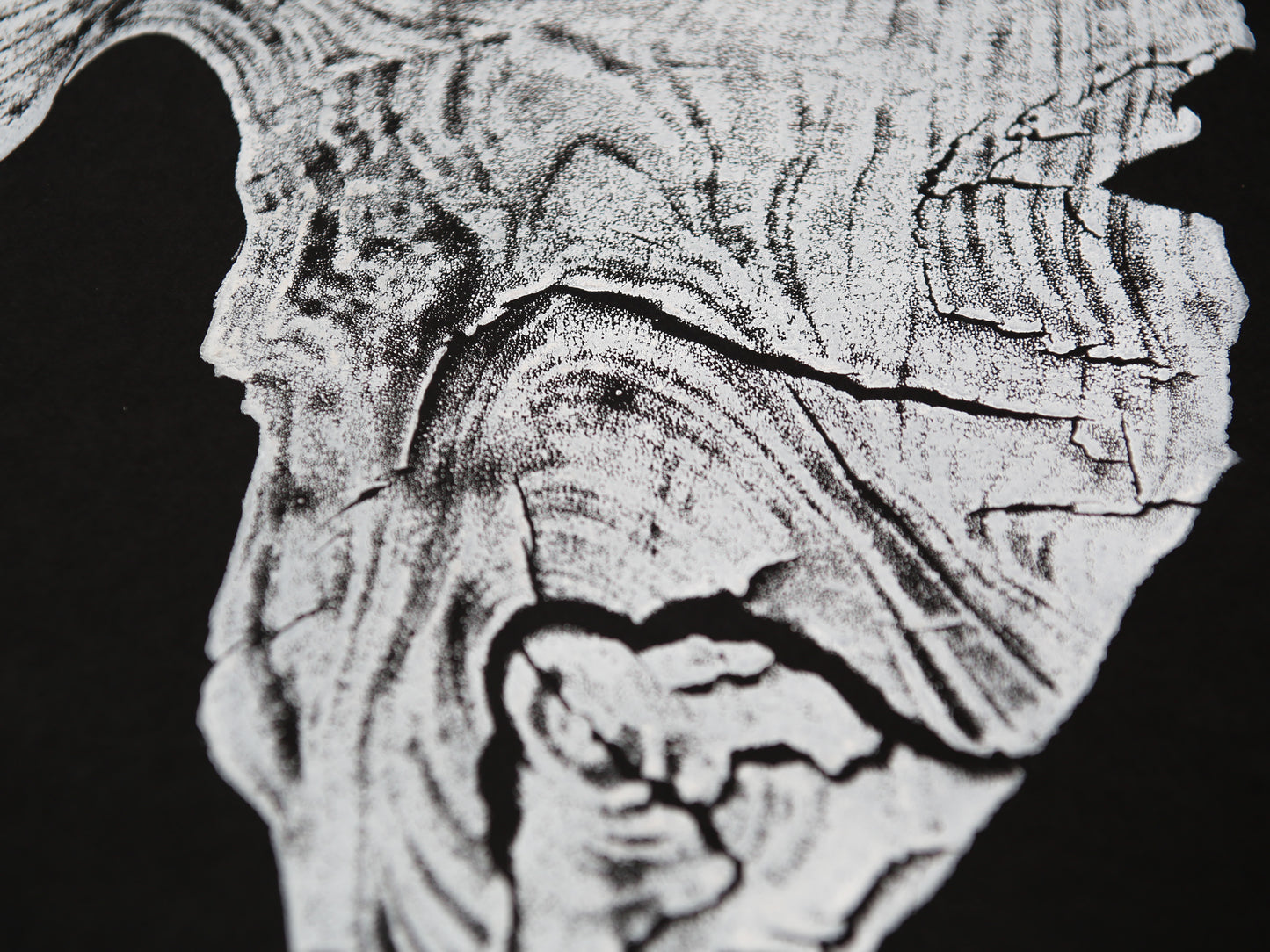 Close-up of an irregular white woodcut impression on black, displaying textured grain and deep cracks.