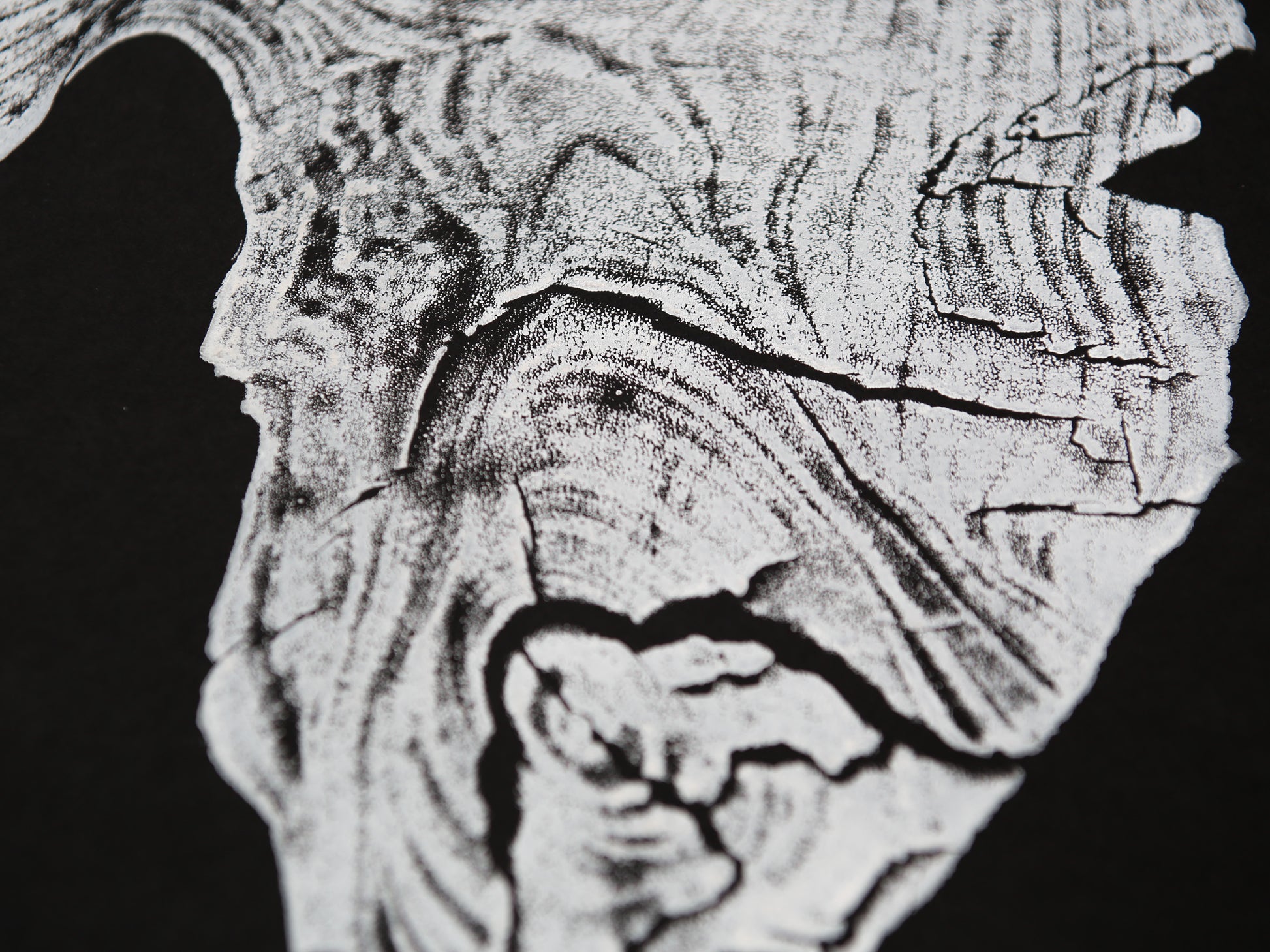 Close-up of an irregular white woodcut impression on black, displaying textured grain and deep cracks.
