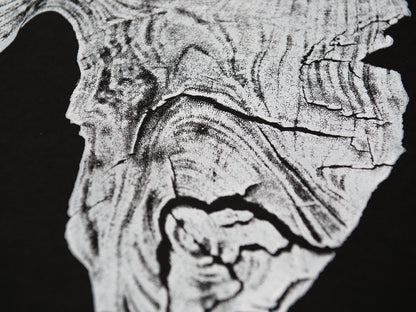 Close-up of an irregular white woodcut impression on black, displaying textured grain and deep cracks.