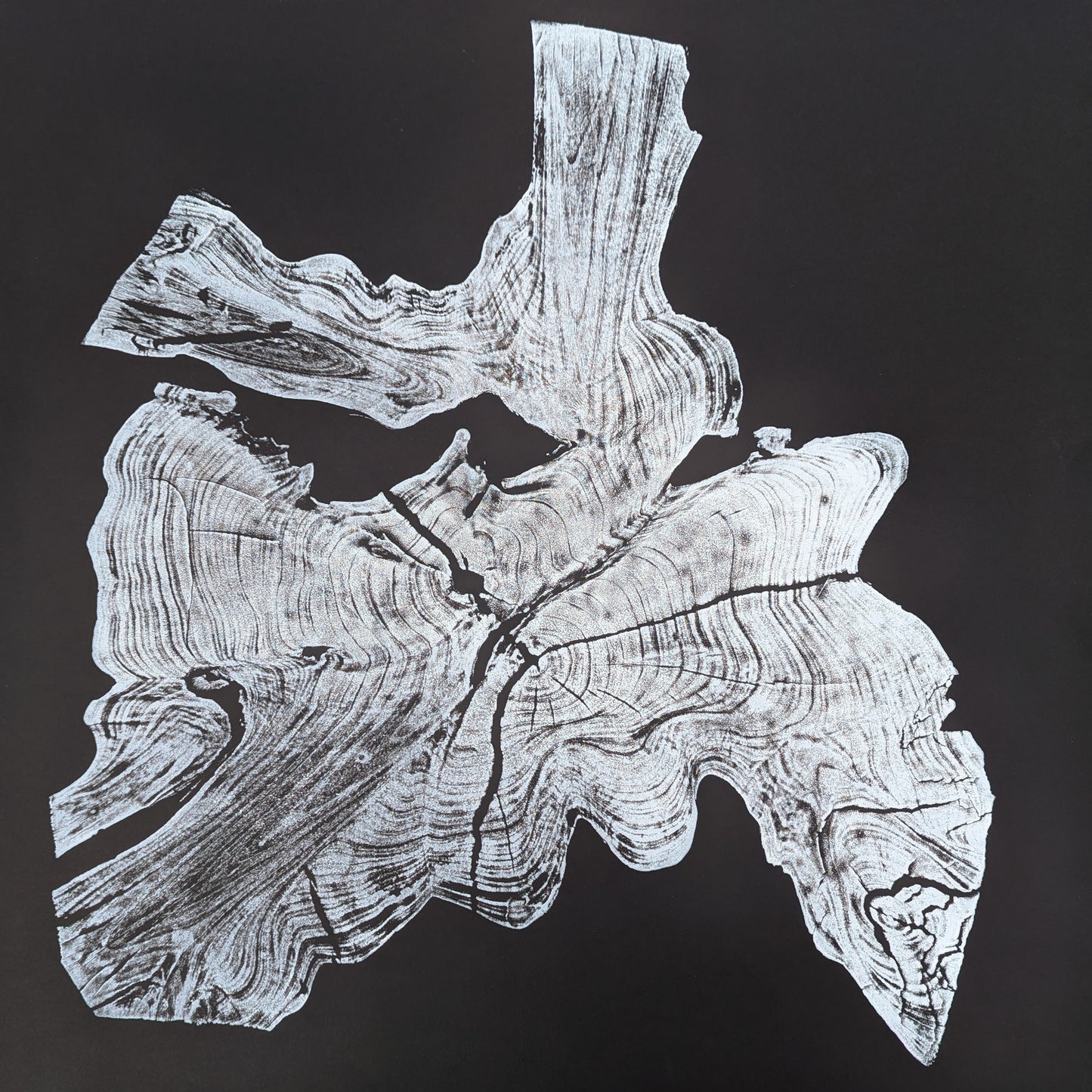 White irregular woodcut monoprint displaying concentric rings and deep cracks on a black background.